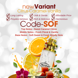 parfum sof cocok untuk introvert