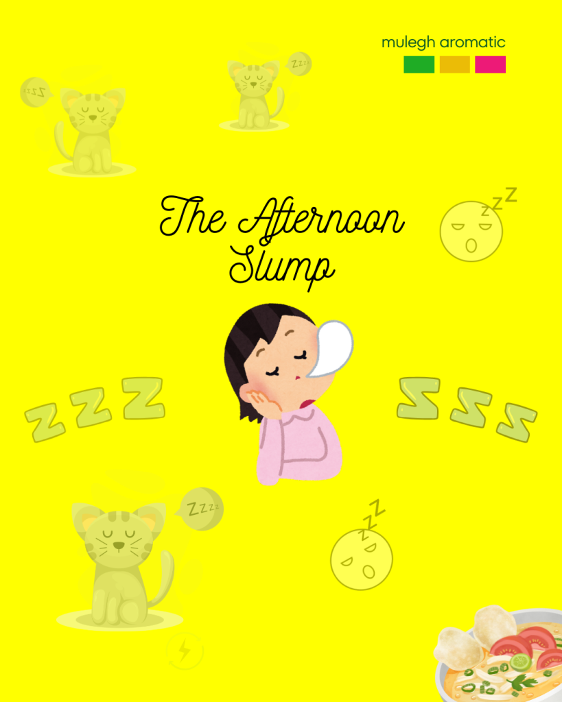 COVER NGANTUK SETELAH MAKAN SIANG