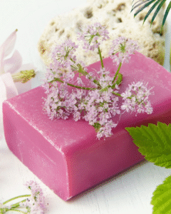 sampul aroma clean fresh