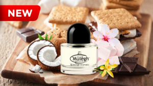 cover artikel Mulegh KMM