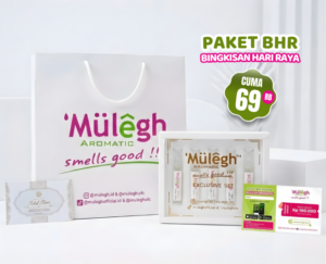 sampul artikel bingkisan hari raya