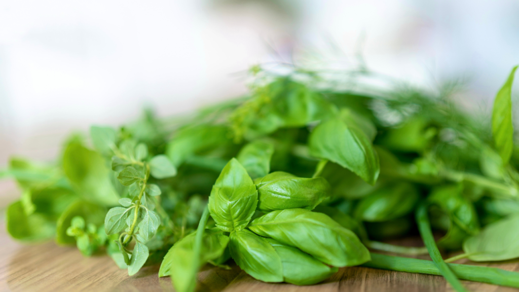 sampul manfaat daun basil