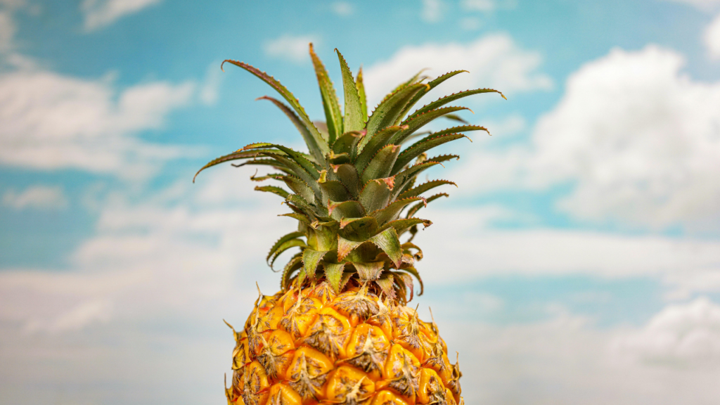 sampul artikel parfum single note