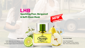 sampul artikel Mulegh aromatic LHB